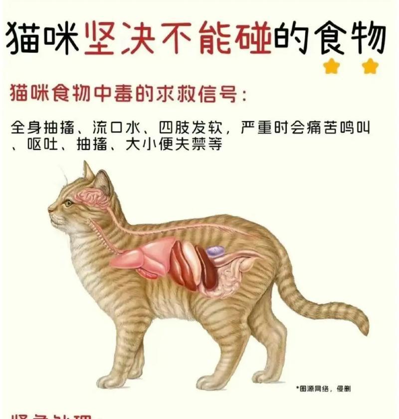 小猫只吃猫粮不吃其他食物的原因是什么？