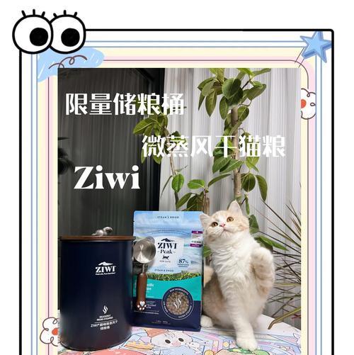 怎么用猫粮桶？猫粮桶的正确使用方法是什么？