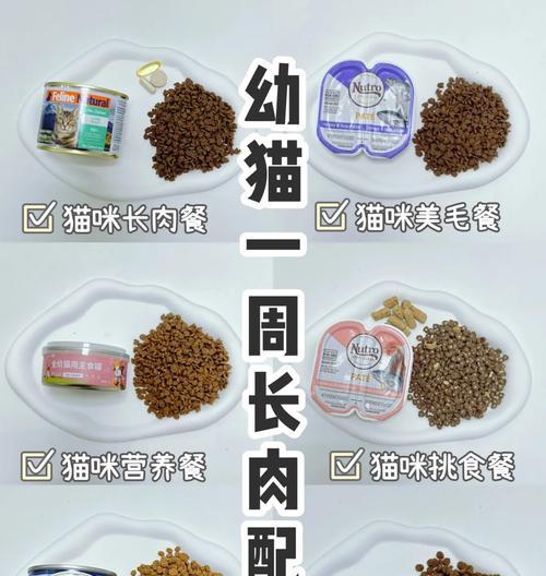 为什么猫咪只吃罐头不吃猫粮？