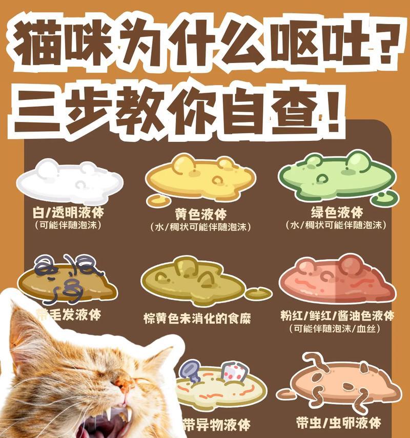 换粮后猫咪吐粘液是何原因？