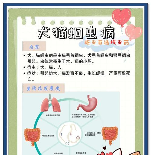 如何检查猫粮中是否有虫子？预防措施有哪些？