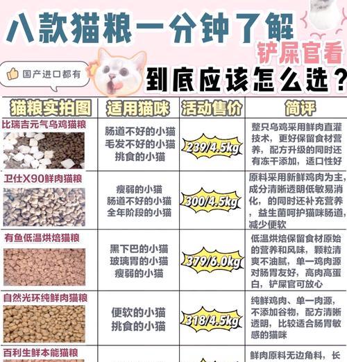 新手养猫应如何选择合适的猫粮？哪些品牌值得推荐？