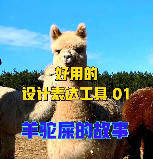 拉羊驼屎很硬的原因是什么？如何改善？