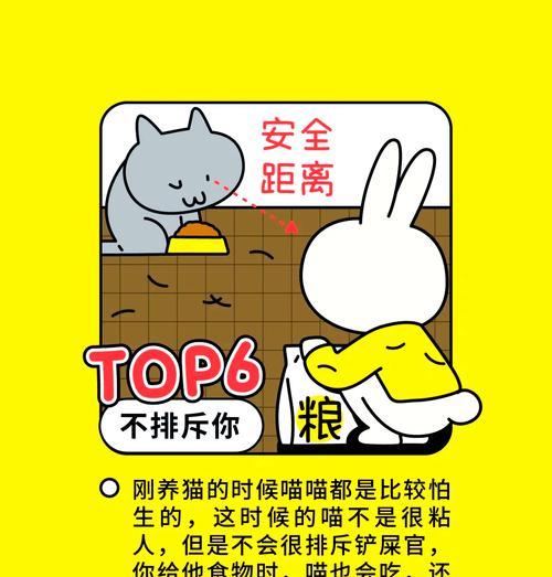 猫躲着我吃猫粮怎么办啊？如何建立信任和改善行为？