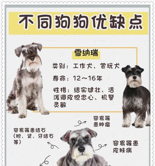 成年雪纳瑞一天应该吃多少？食量标准是什么？
