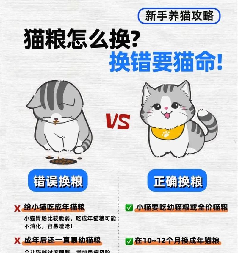 频繁更换猫粮对小猫好吗？