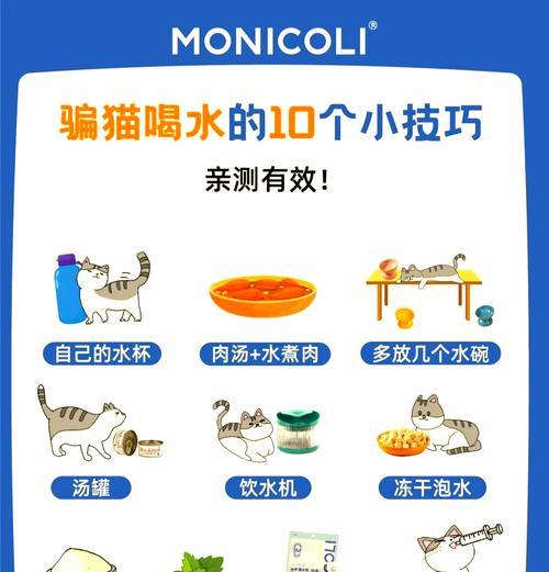 猫咪换粮后不爱喝水的解决方法是什么？
