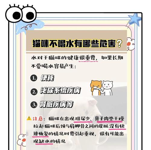 猫咪换粮后不爱喝水的解决方法是什么？