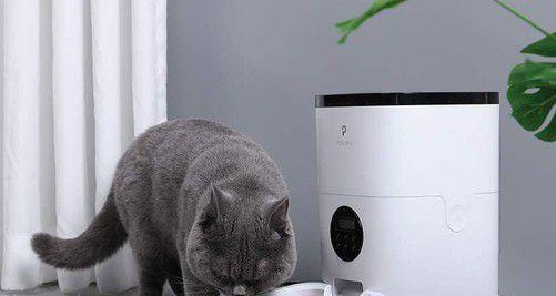 自助猫粮投喂机外观？如何选择合适的投喂机？