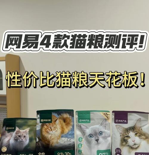 哪种猫粮最适合猫咪？购买时应考虑哪些因素？
