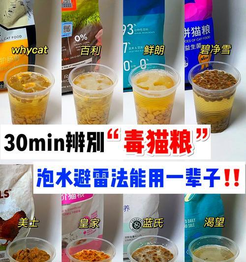 小猫吃猫粮时应该泡什么？泡水对猫粮有何影响？