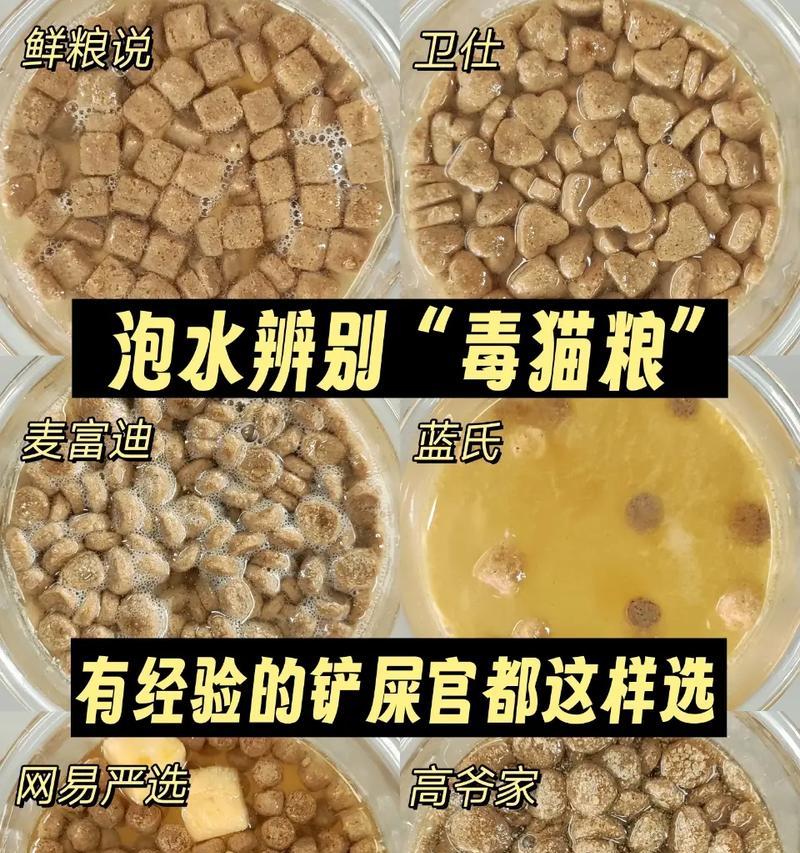 小猫吃猫粮时应该泡什么？泡水对猫粮有何影响？