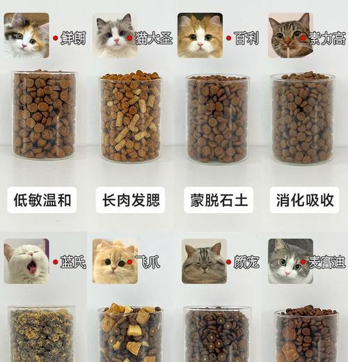 7个月大的布偶猫应该选择什么样的猫粮？如何挑选合适的猫粮？