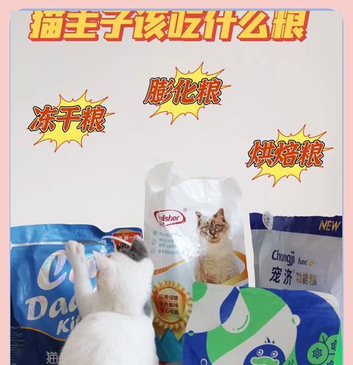 喂猫粮猫叫什么猫？猫咪避雷猫粮怎么喂的好？