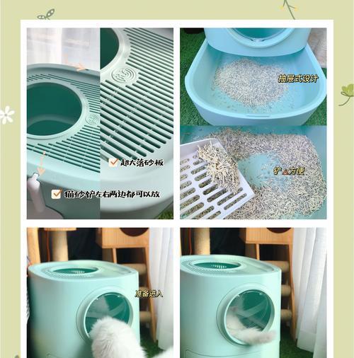 猫粮盆和水盆倾斜了怎么解决？有哪些预防措施？