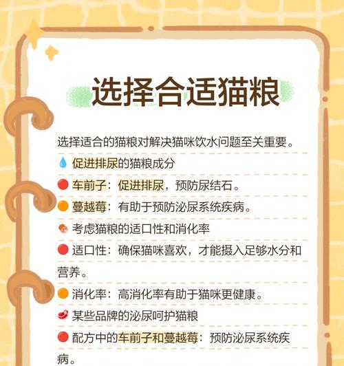 猫粮盆和水盆倾斜了怎么解决？有哪些预防措施？