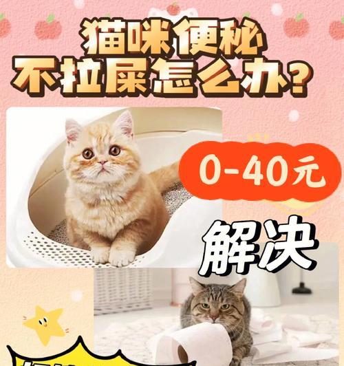 猫咪便秘怎么办？哪些猫粮可能导致便秘？