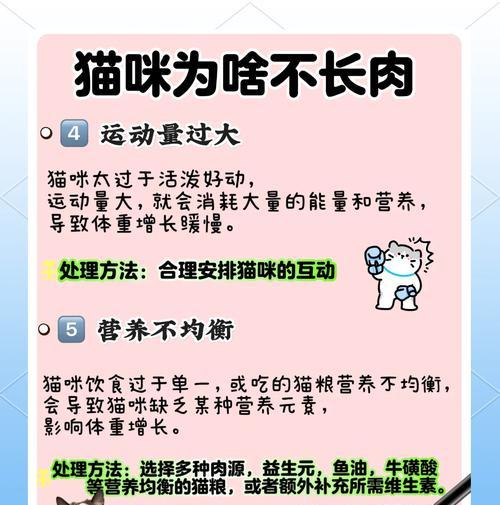 如何在不喂猫粮的情况下让猫咪增重？