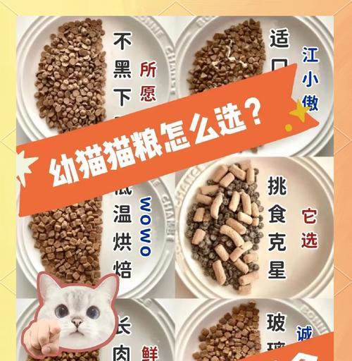 哪种猫粮能让猫不挑食？