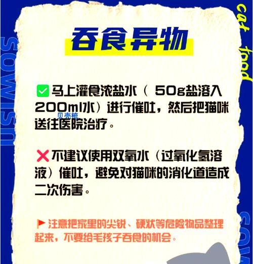 猫咪猫粮中毒怎么办？解救措施有哪些？