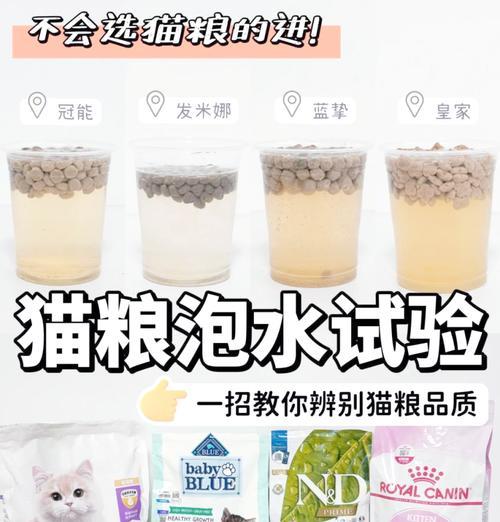 泡猫粮的最佳方法是什么？有什么注意事项？