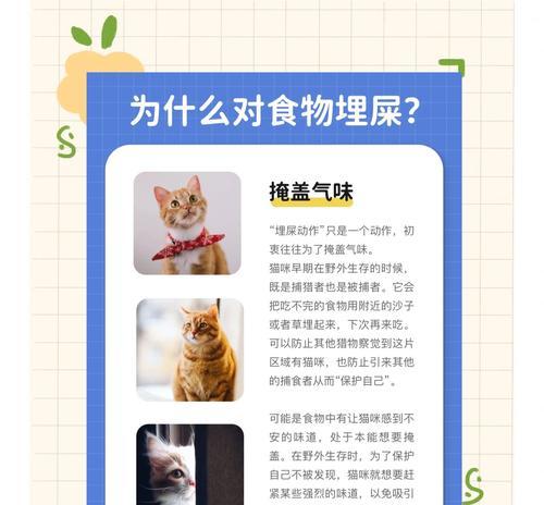 猫为何会捞粮吃？这种行为背后的原因是什么？