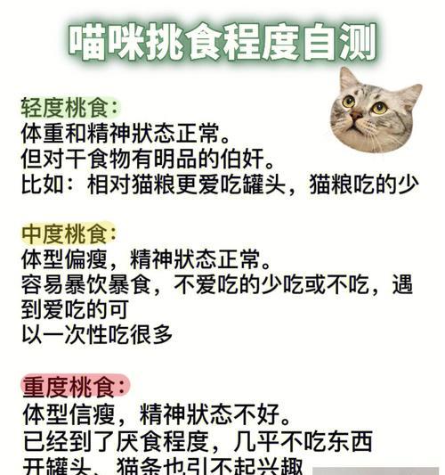 小猫换粮时不吃旧猫粮怎么办？如何顺利过渡？