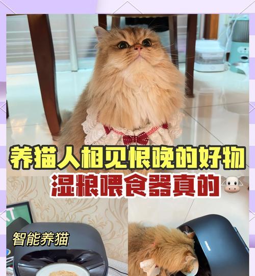 自制湿猫粮的方法是什么？湿猫粮的制作需要注意什么？