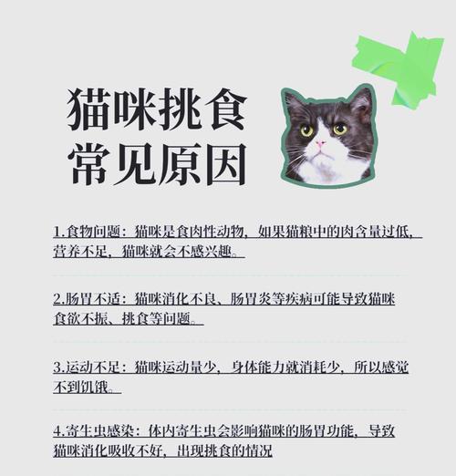 怎么预防小猫偷吃猫粮呢？有效防止小猫偷食的方法有哪些？