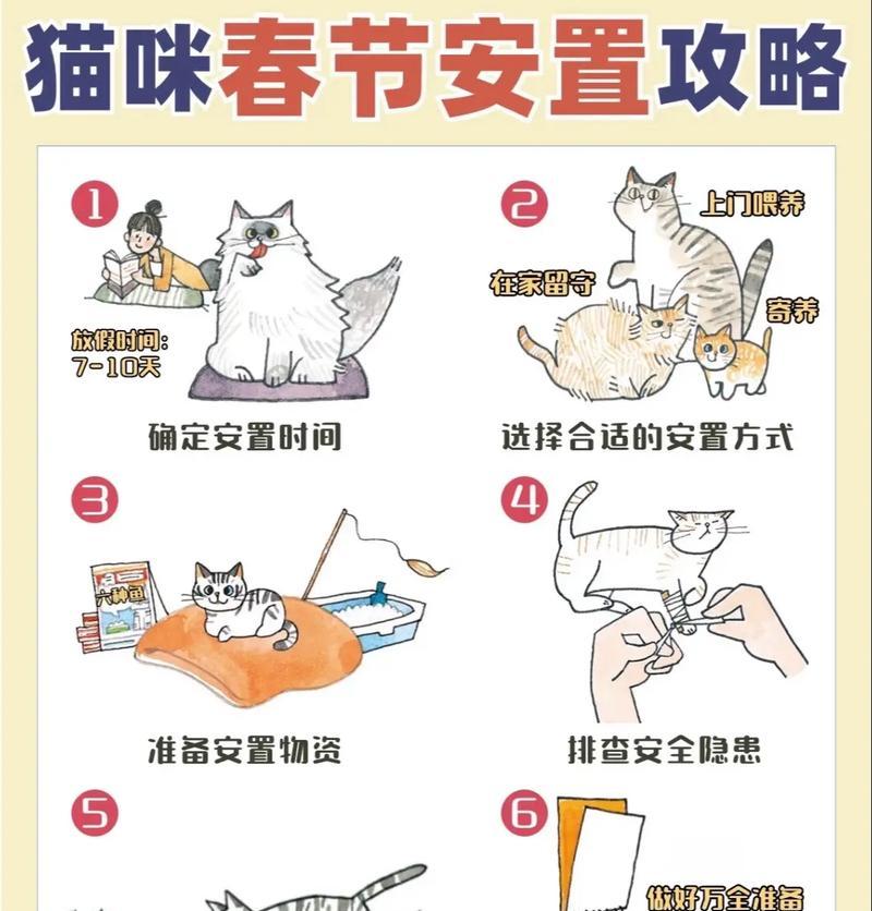 过年期间忘记带猫粮，该如何应急？