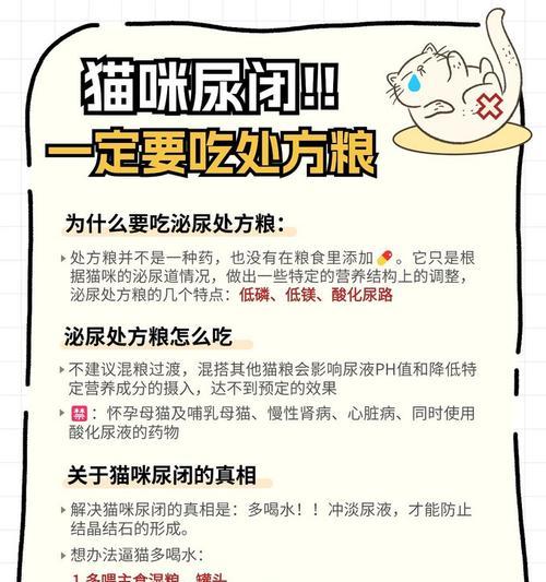 猫咪肾脏处方湿粮有什么好处？如何选择？