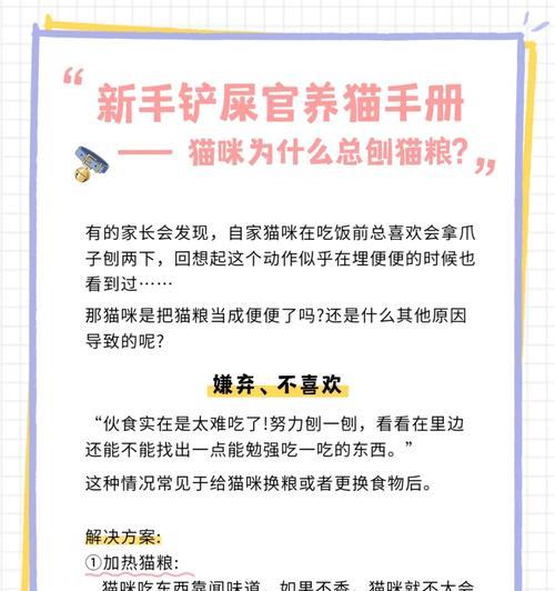 猫咪为什么喜欢咬猫粮？咬猫粮的行为背后有何原因？