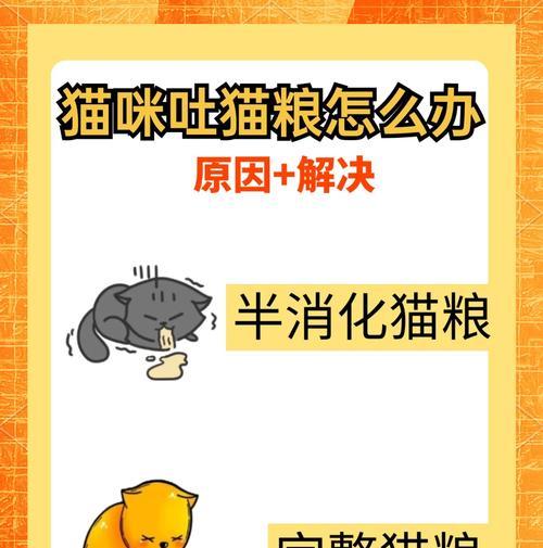 猫咪为什么喜欢咬猫粮？咬猫粮的行为背后有何原因？