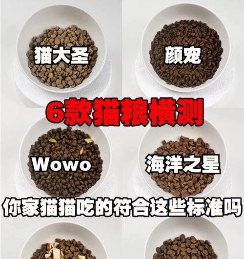 猫一月吃一斤猫粮多吗为什么？如何根据体重调整猫粮摄入量？