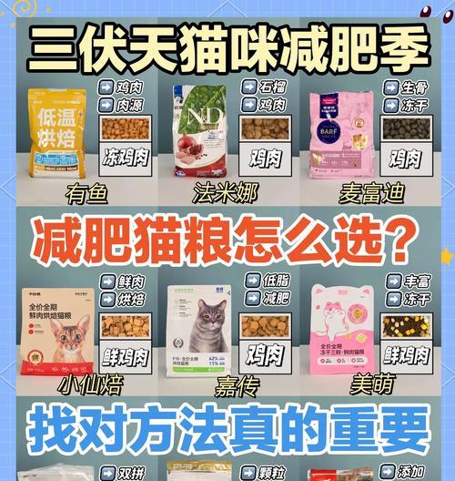 猫咪减肥时应选择哪种猫粮？如何制定合理的饮食计划？