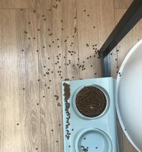 吃着猫粮甩头怎么回事啊