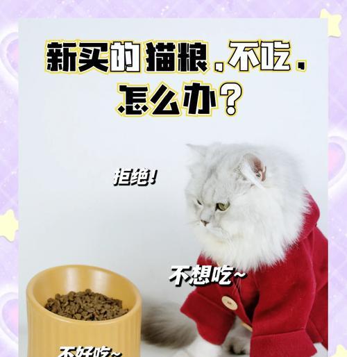捏猫咪喉咙后不吃猫粮应如何处理？