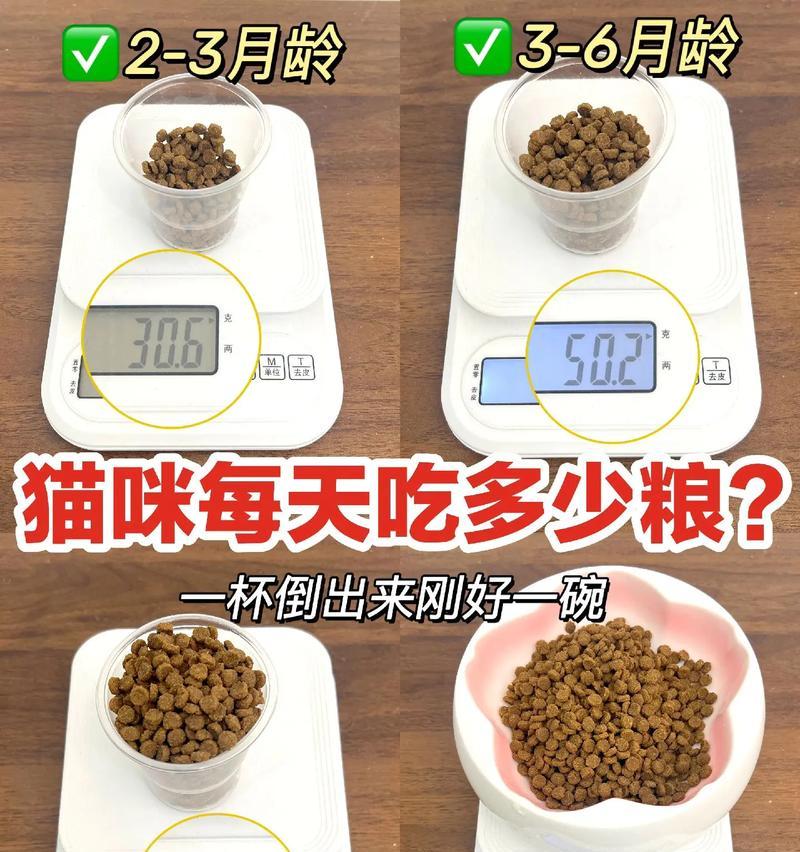 如何计算猫咪每日猫粮的正确分量？