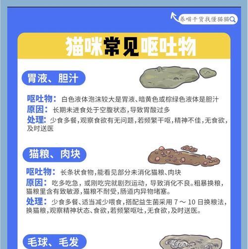 小猫吐猫粮怎么办？有哪些药物可以帮助治疗？
