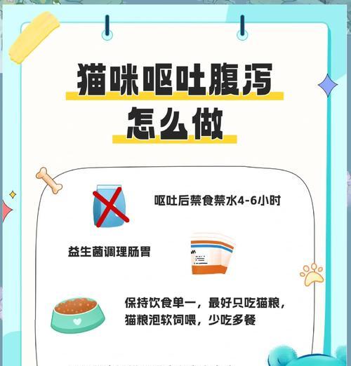 猫咪吐出猫粮是什么原因？