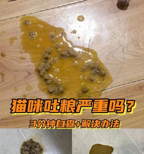 哪种猫粮有助于猫咪吐毛？
