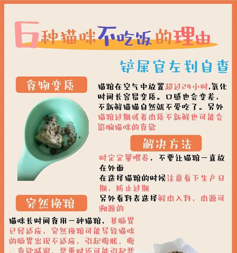 猫咪突然不吃猫粮可能是哪些原因？