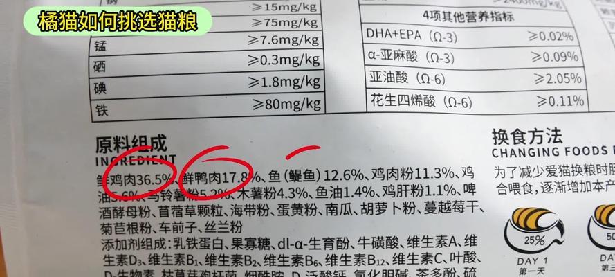 橘猫吃猫粮窒息怎么回事？如何预防和处理这种情况？
