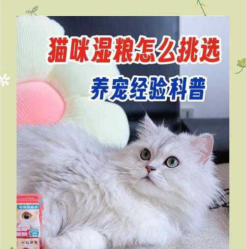 湿猫粮是否干净？如何确保好消化？