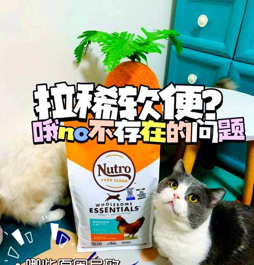 猫吃鱼粮导致频繁拉稀怎么办？如何选择合适的猫粮？
