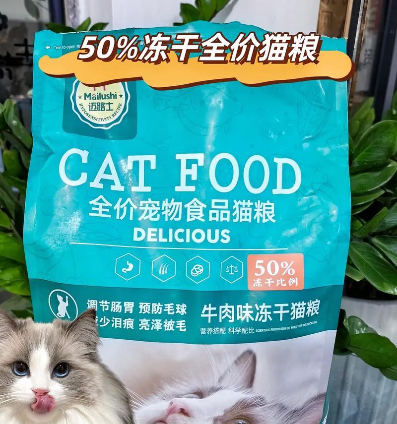 白猫吃什么猫粮长肉快一点？推荐哪些品牌？