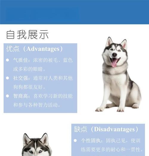 西伯利亚地区只有哈士奇吗？还有哪些犬种？