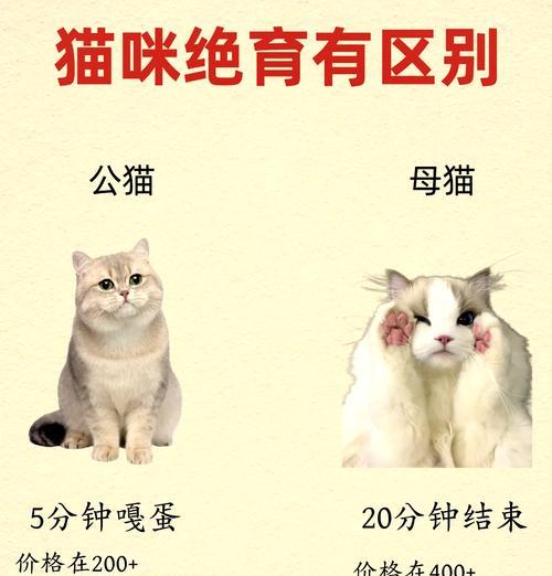 猫绝育后为何需要更换猫粮？哪种猫粮更适合绝育后的猫？