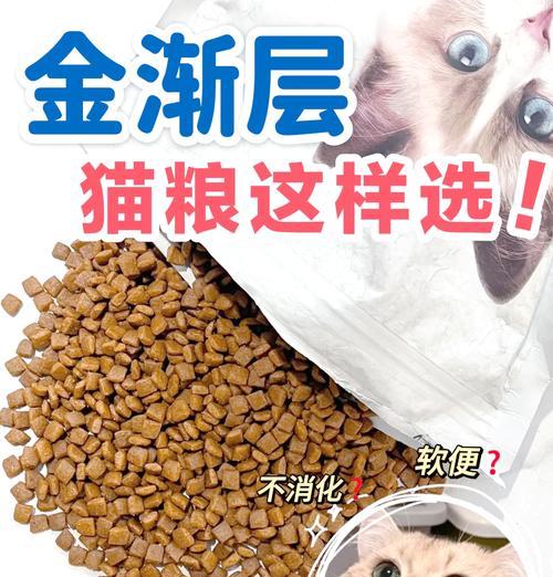 猫绝育后为何需要更换猫粮？哪种猫粮更适合绝育后的猫？