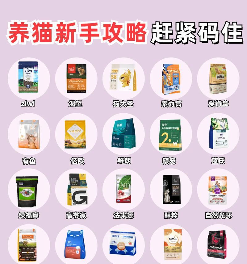 一岁猫咪适合哪种猫粮？如何选择合适品牌？
